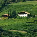 the slopes of the Alto Adige